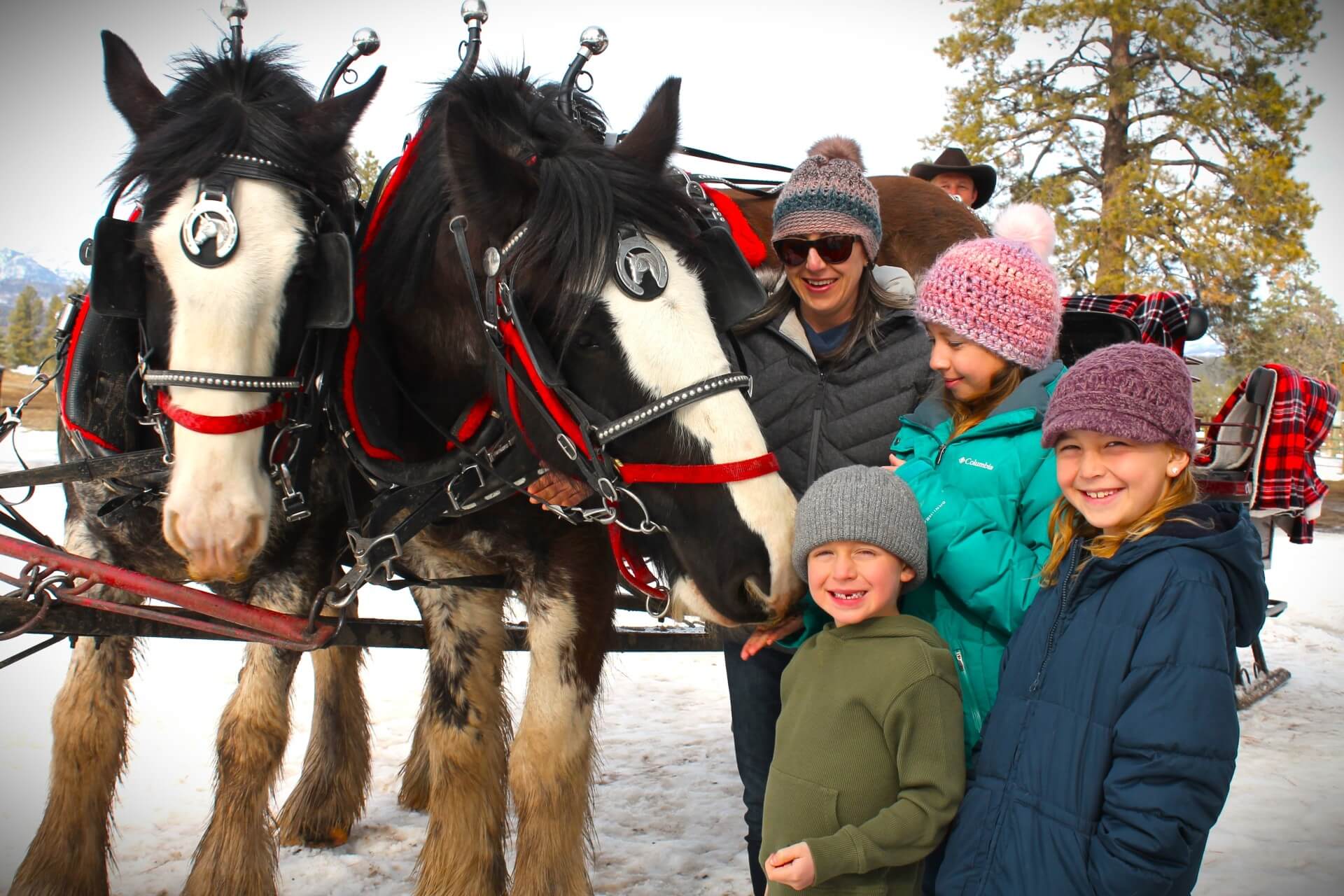 A group of children pose in front of horses