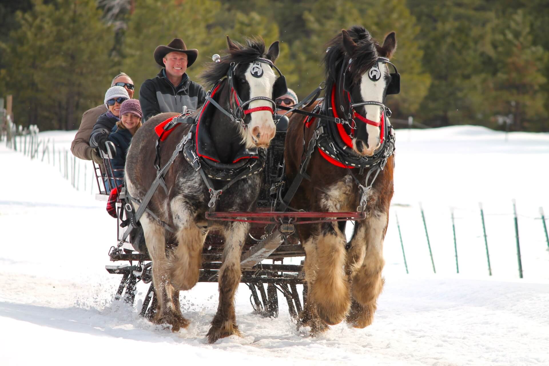 Private Sleigh Ride