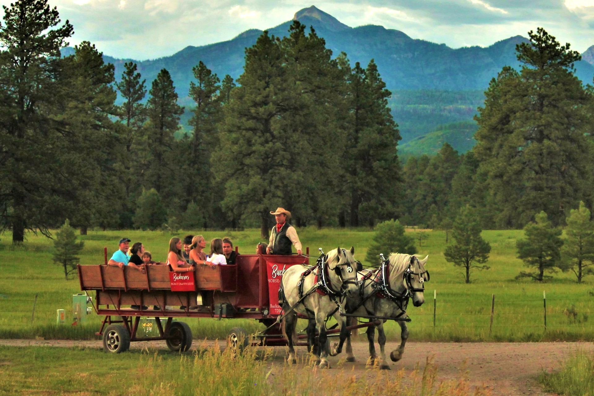 A group of people on a wagon ride in the mountains of Pagosa Springs