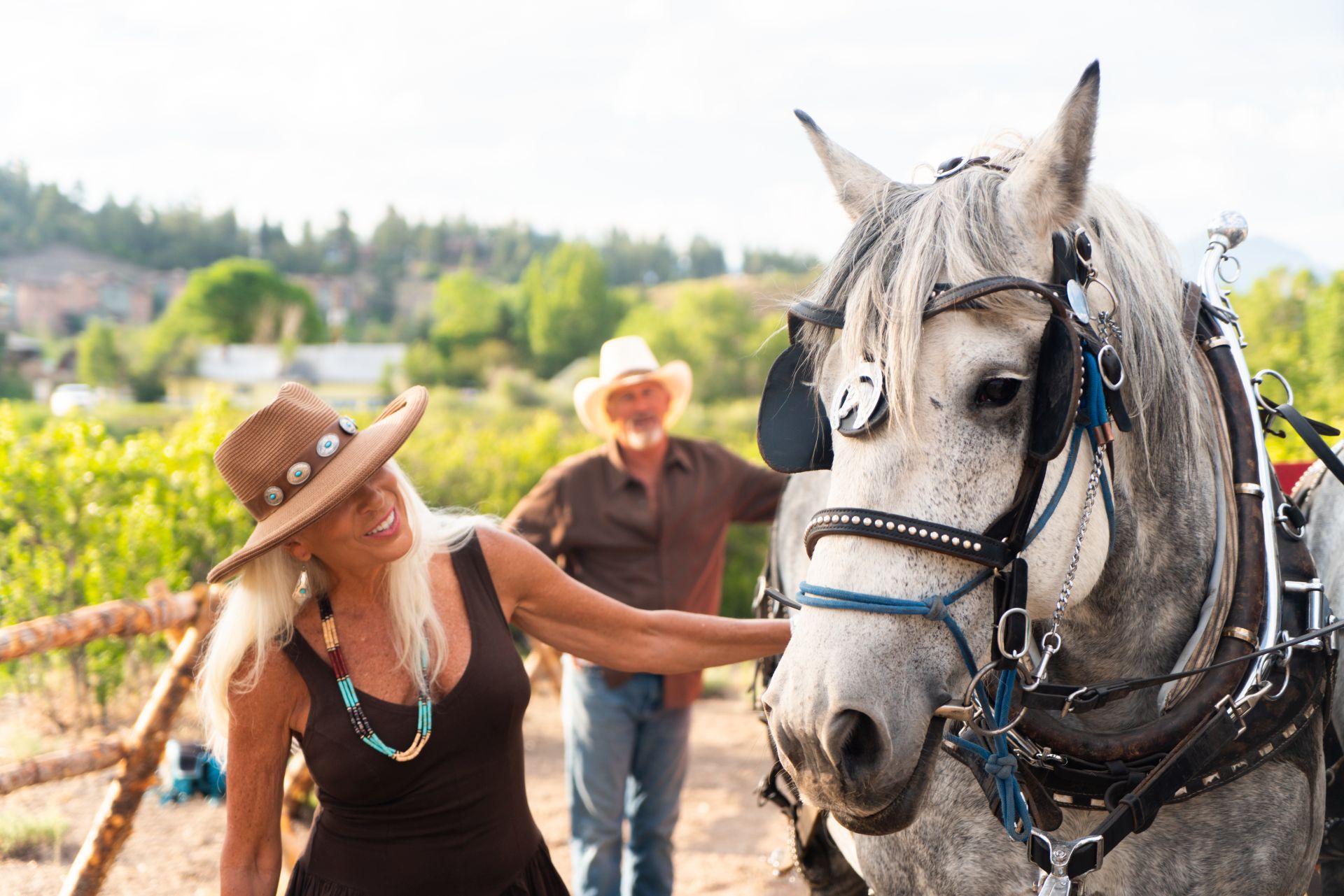 Women petting a horse