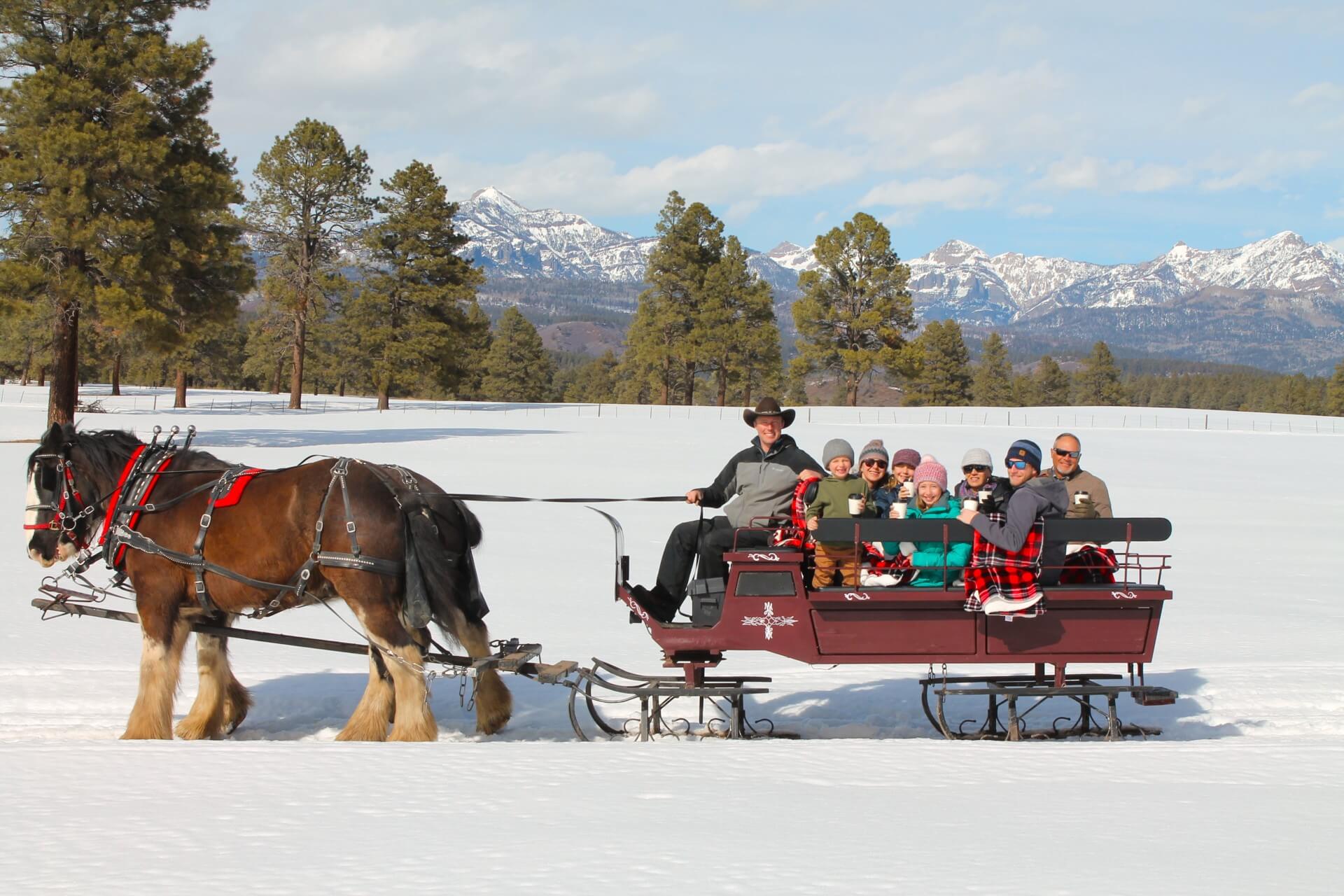 Horses pulling a sleigh through snow