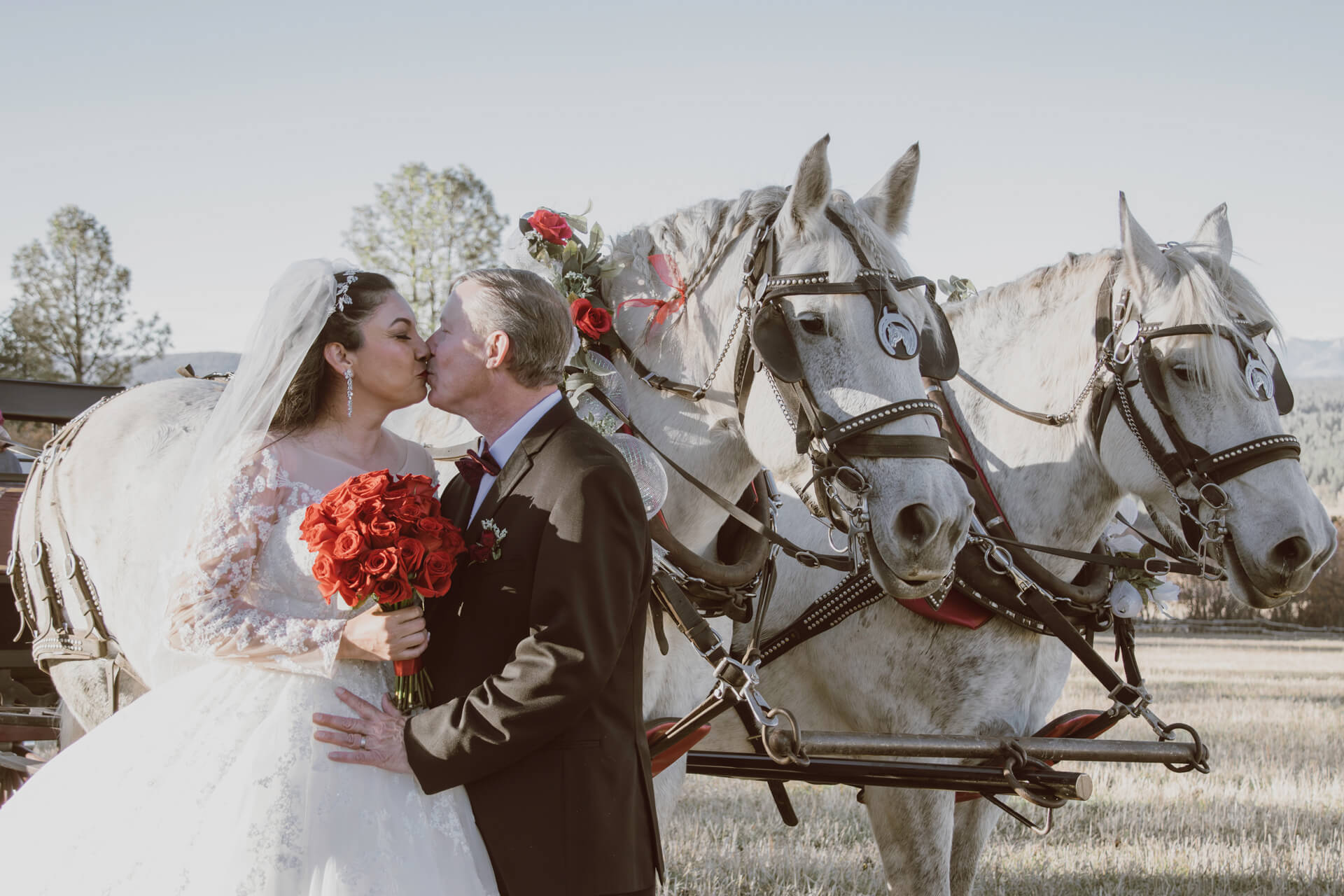 A bridge and groom kiss in front of two horses